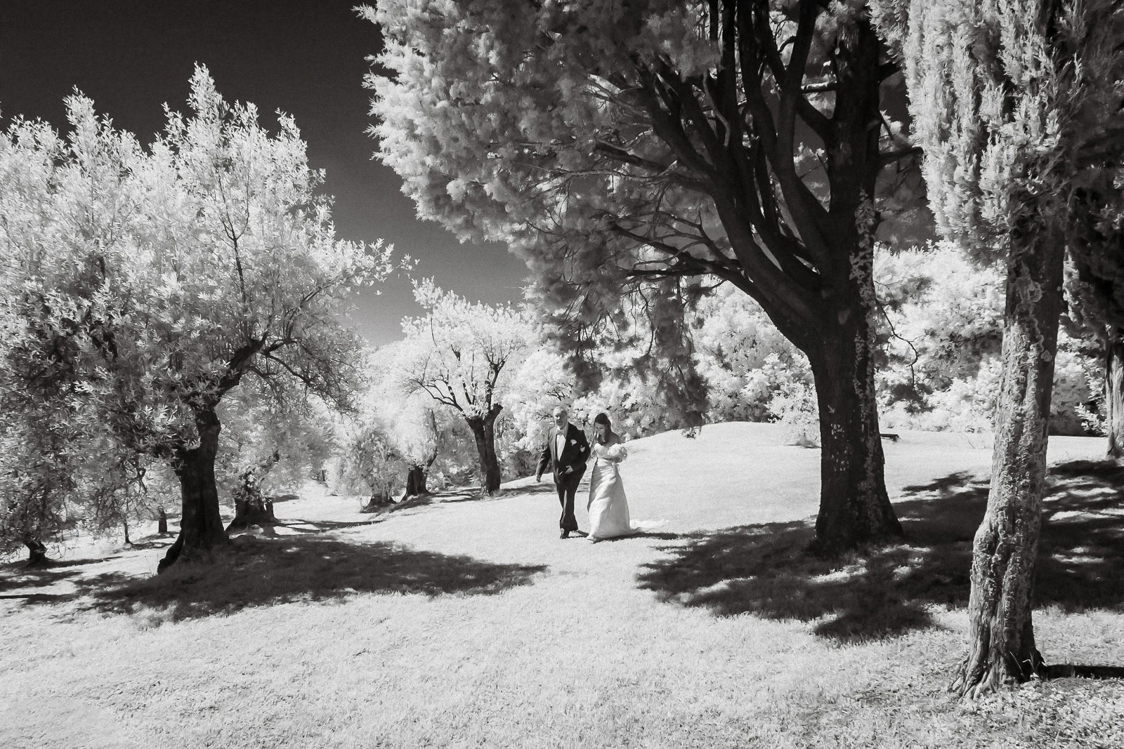 Andrea Cittadini Wedding Photographer Umbria and Tuscany - 52 Andrea Cittadini Photography - Fairy tale wedding in Umbria at Borgo Bastia Creti