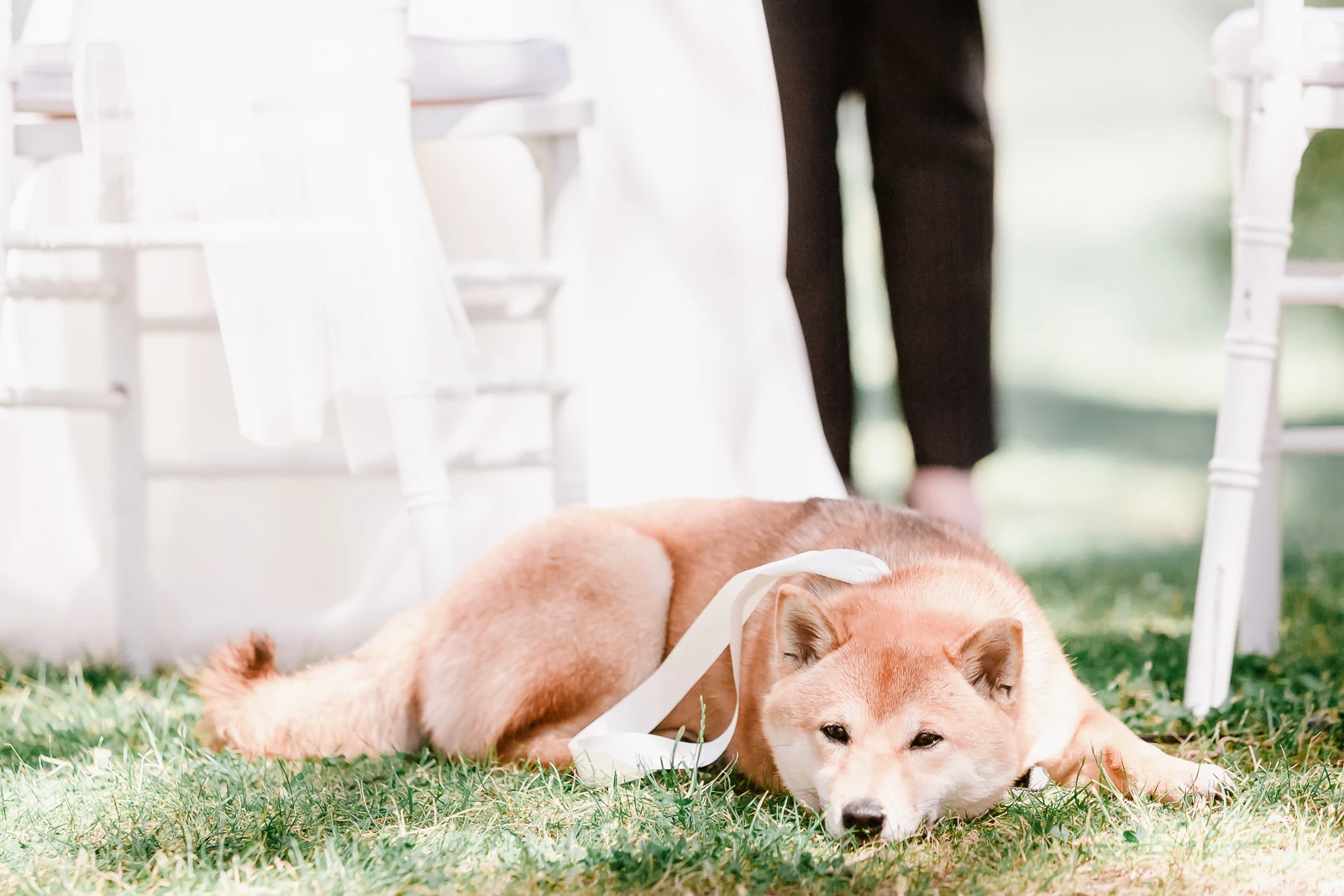 Andrea Cittadini Wedding Photographer Umbria and Tuscany - 88 Andrea Cittadini Photography - Fairy tale wedding in Umbria at Borgo Bastia Creti