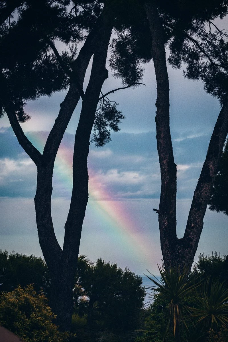 Andrea Cittadini Wedding Photographer Umbria and Tuscany - 48 Andrea Cittadini Photography - Elopement at Grand Hotel du Cap Ferrat