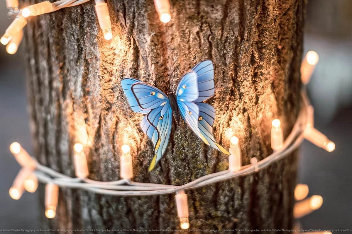 Andrea Cittadini Wedding Photographer Umbria and Tuscany - 116 Andrea Cittadini Photography - Love is like a butterfly