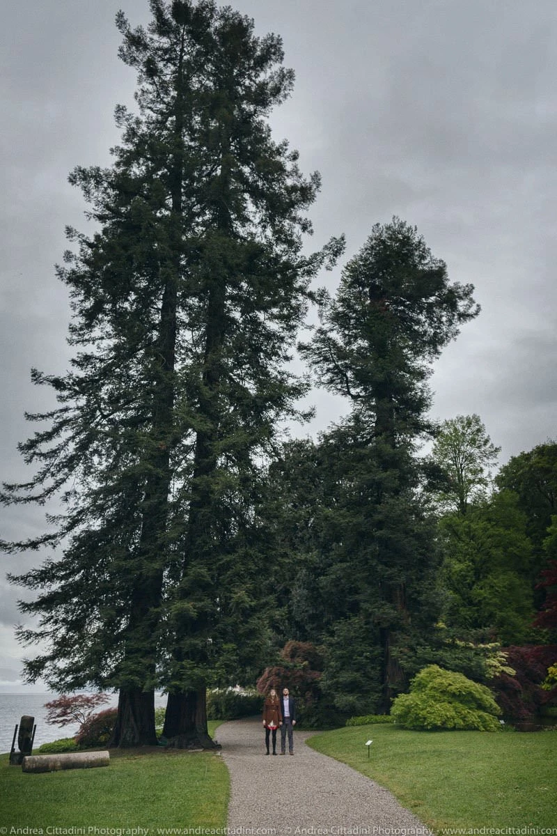Andrea Cittadini Wedding Photographer Umbria and Tuscany - 98 Andrea Cittadini Photography - Surprise proposal in Bellagio