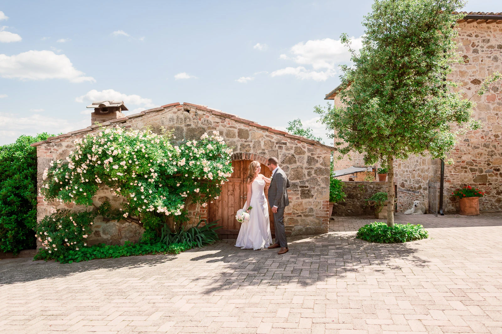 Andrea Cittadini Wedding Photographer Umbria and Tuscany - 32 Andrea Cittadini Photography - Elopement photographer San Galgano Abbey