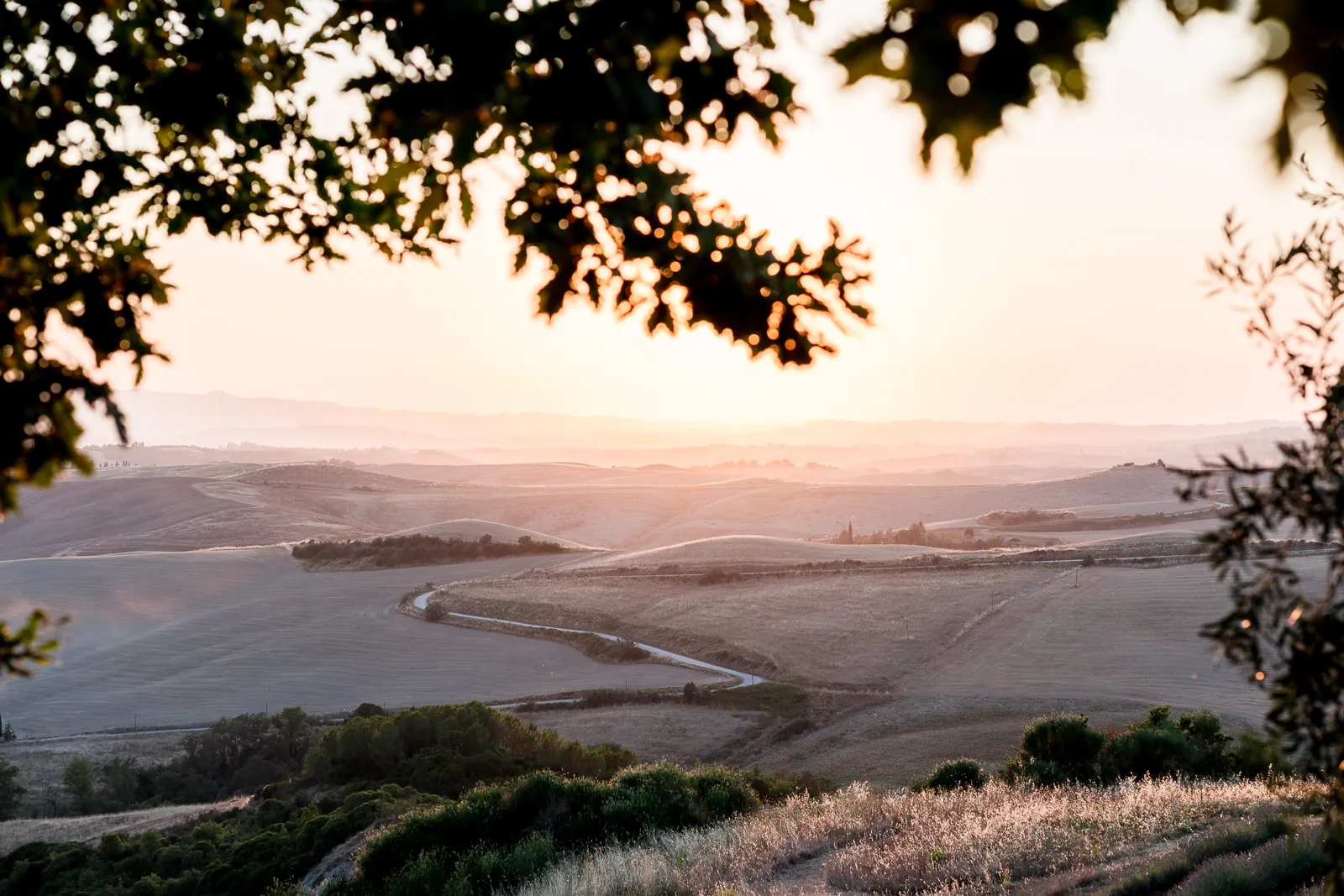 Andrea Cittadini Wedding Photographer Umbria and Tuscany - 105 Tuscan Countryside wedding - Country Relais & Spa Le Capanne