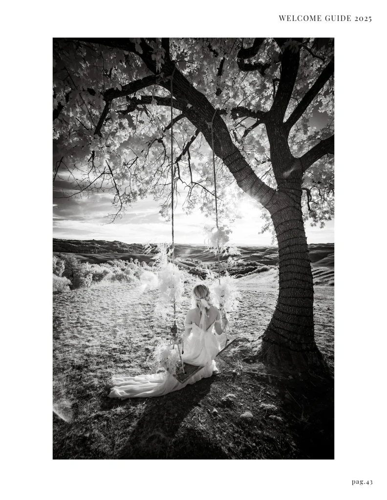 Welcome Guide Wedding Mobile 2025